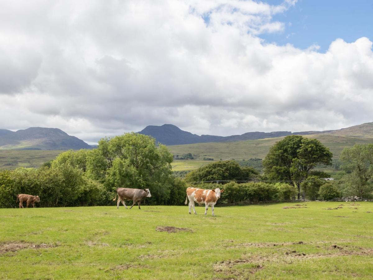 Hendre Cottage Trawsfynydd Exteriör bild